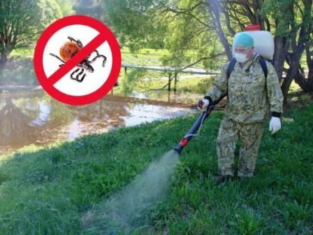 Акарицидная обработка