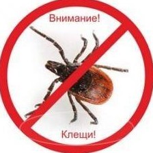 Акарицидная обработка