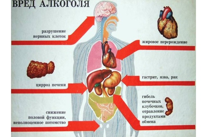 Вред алкоголя